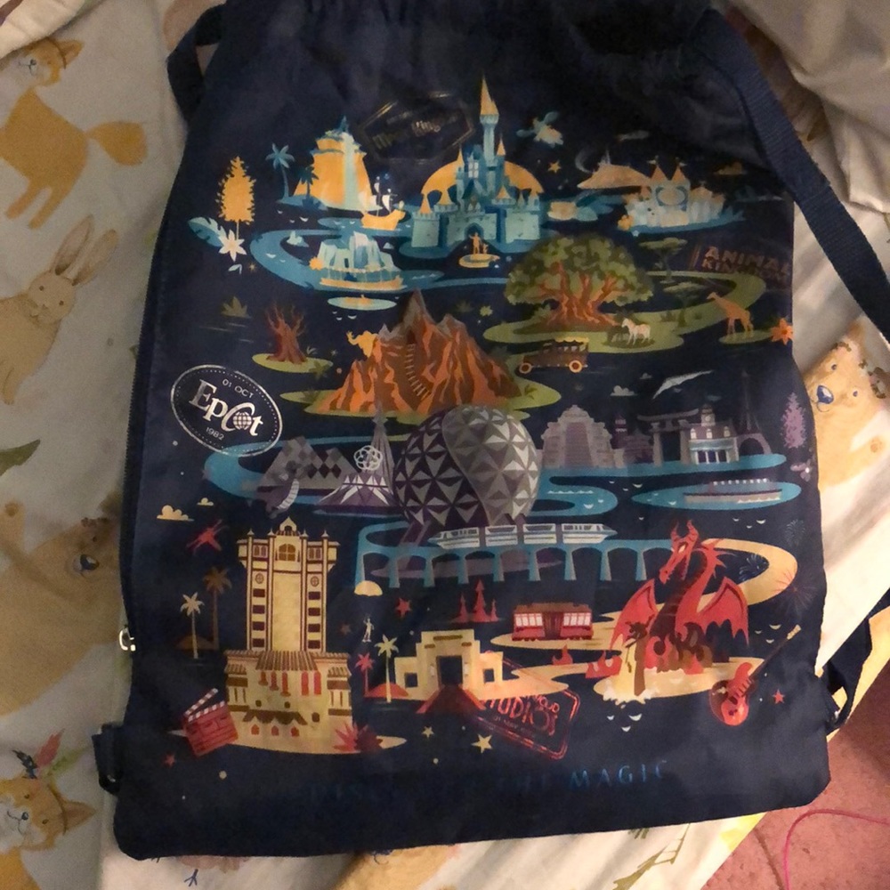 Disney World Backpack